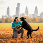 Pet Play Time Add-On